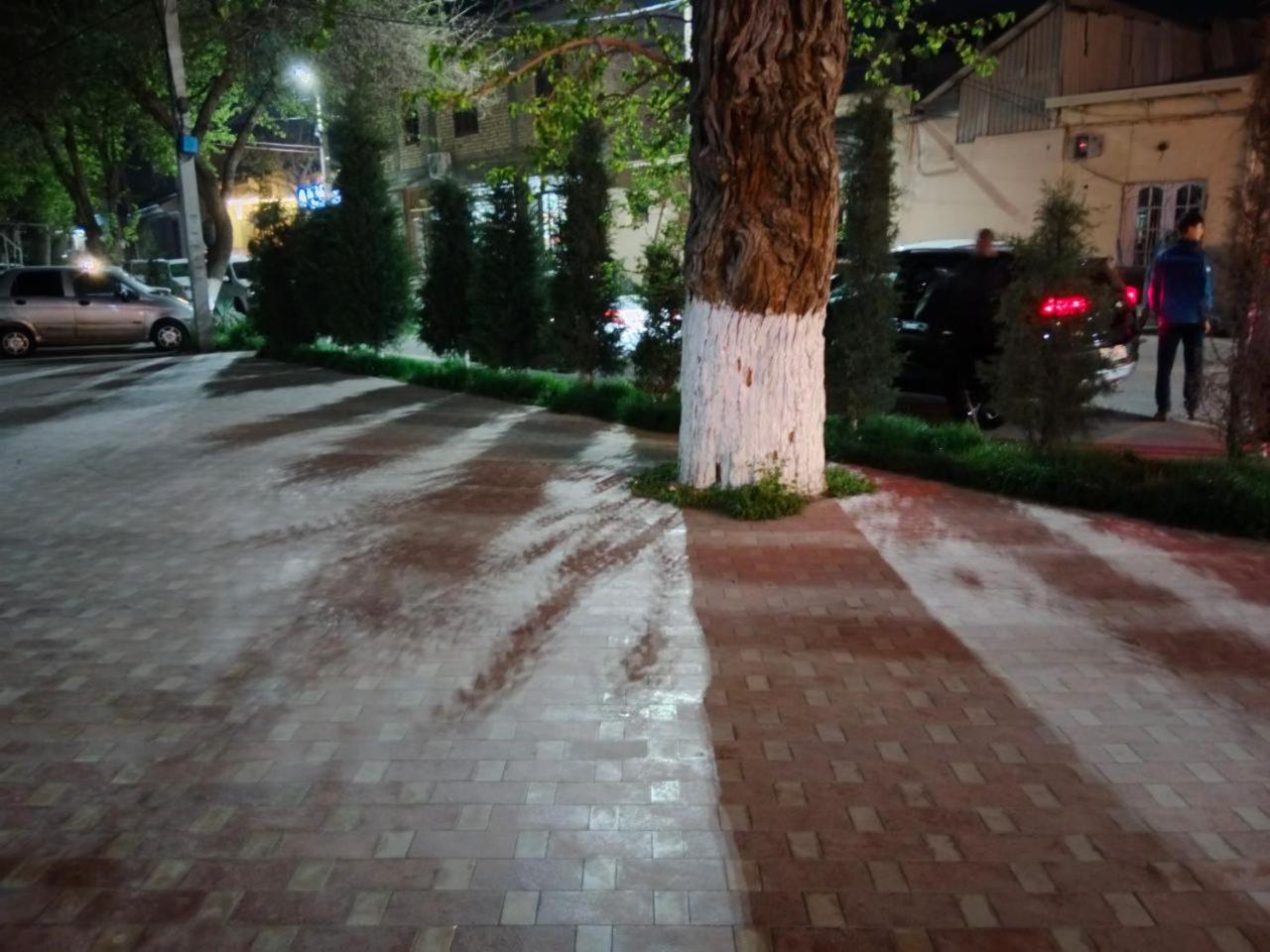 Gulsara Hostel 사마르칸트 외부 사진