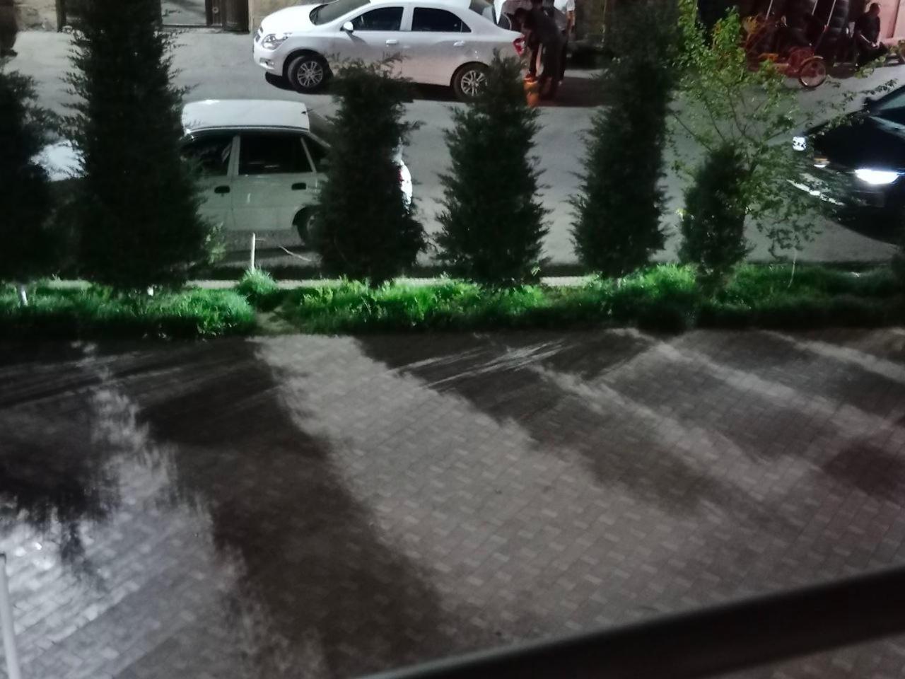 Gulsara Hostel 사마르칸트 외부 사진